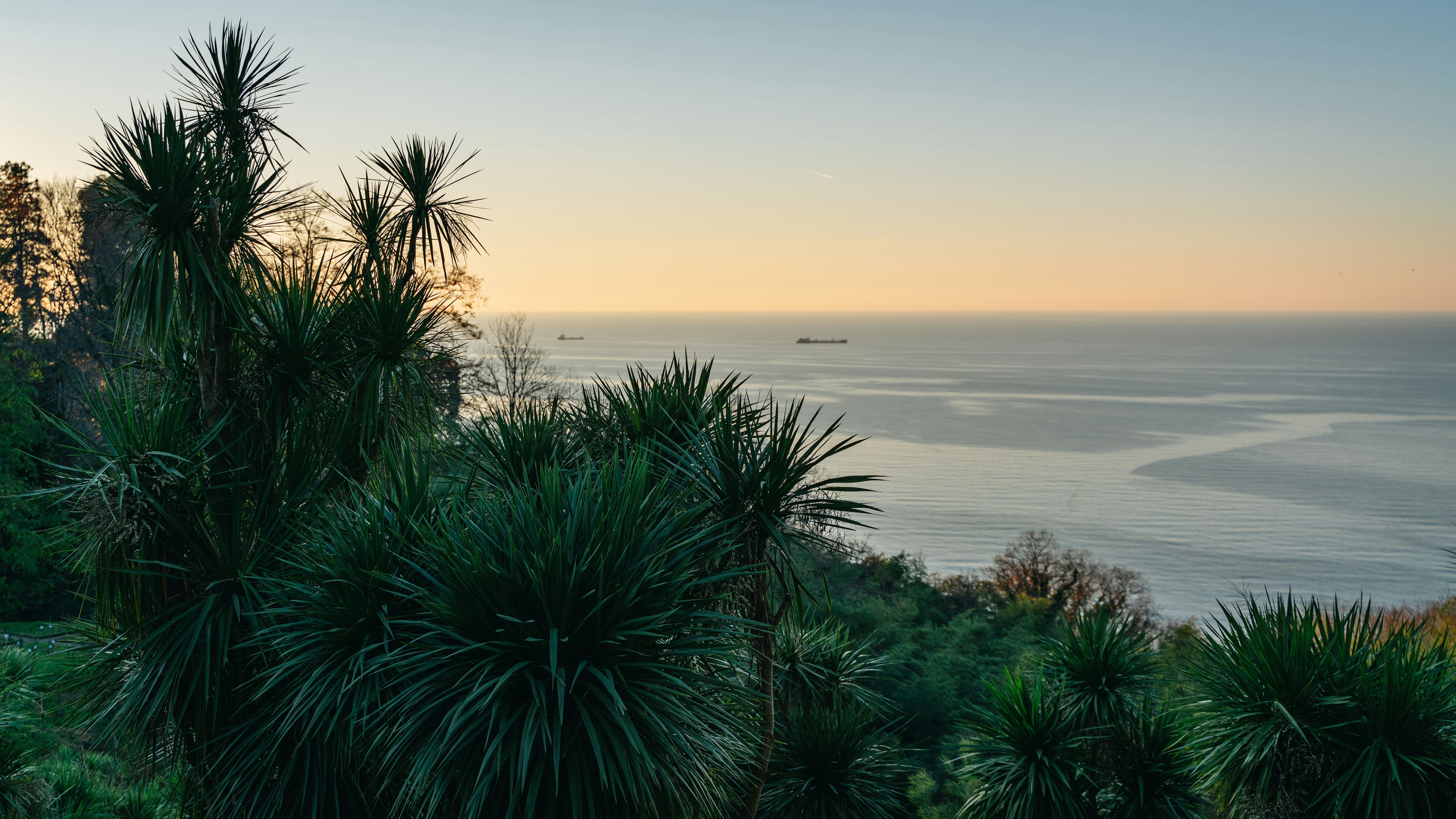 Batumi botanical garden