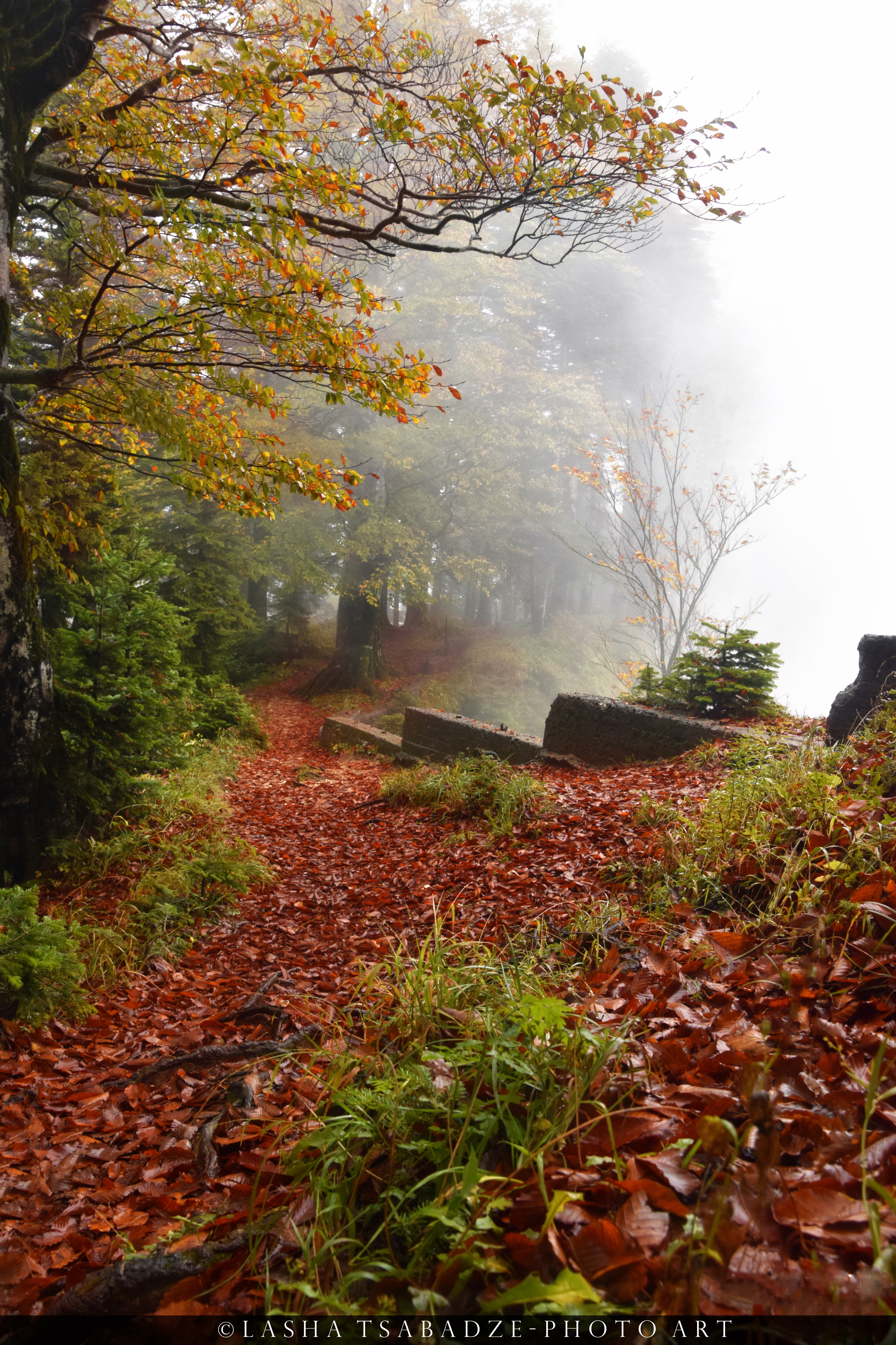 Kintishi National park