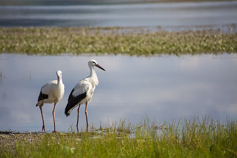 Javakheti National Park