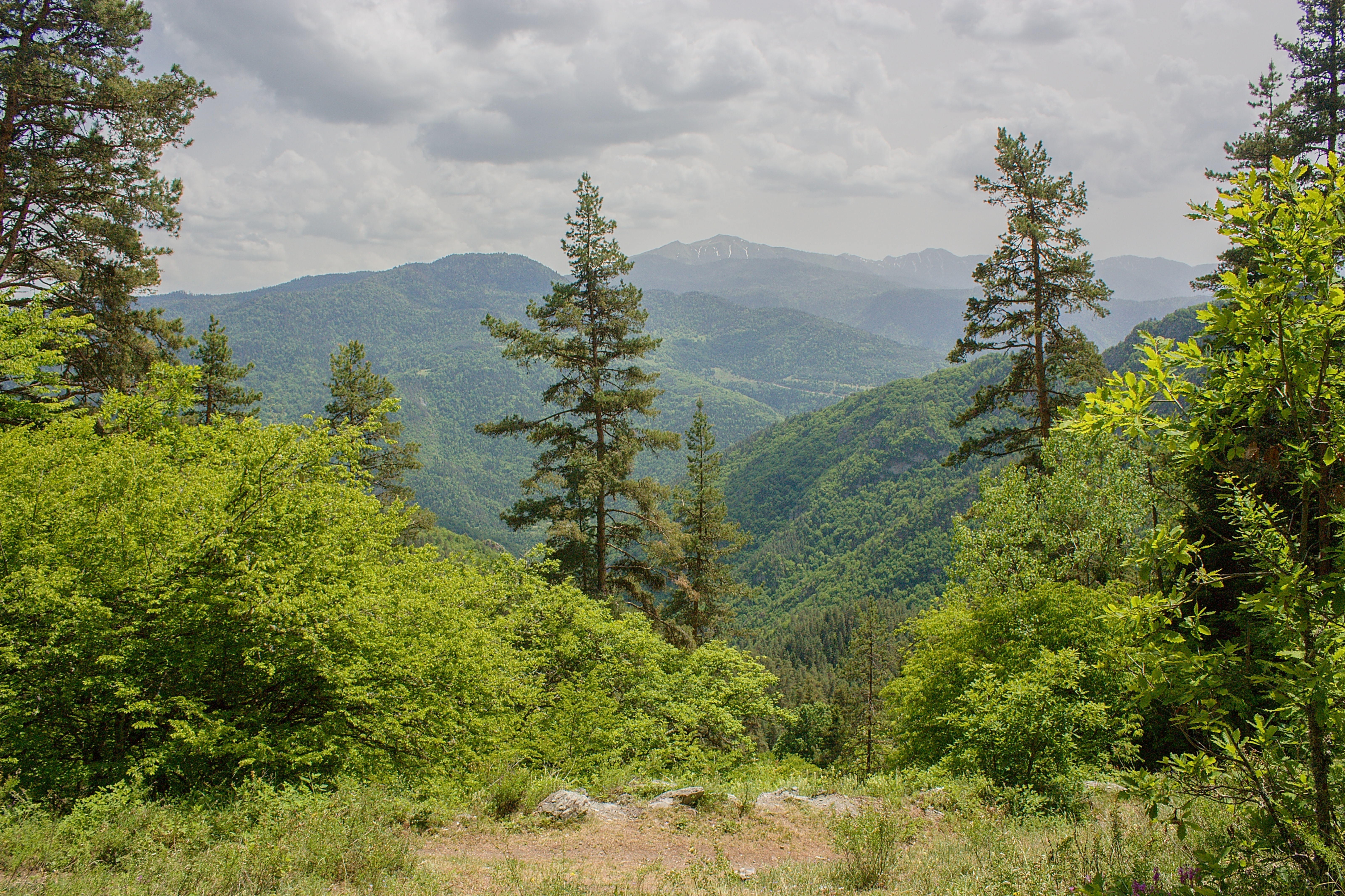 Georgian National Park