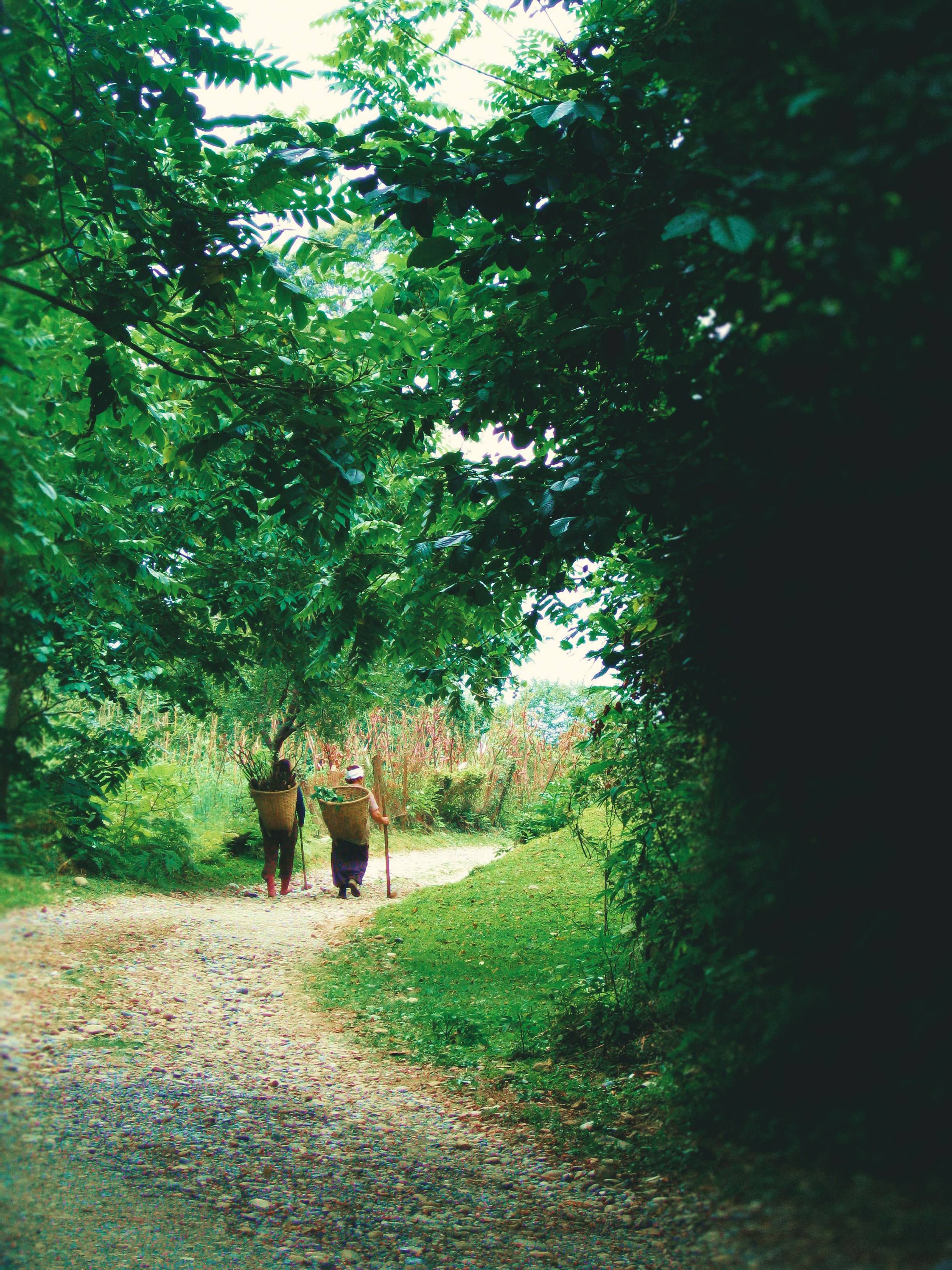 Algeti National Park