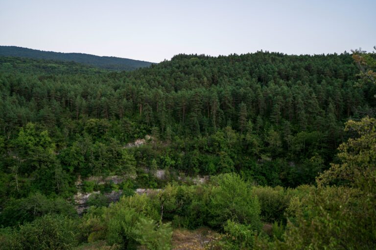 Racha Georgia